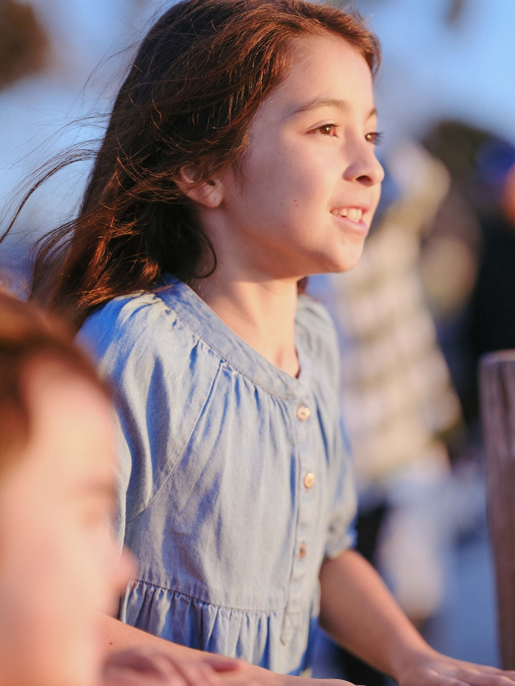 Monoprix denim dress